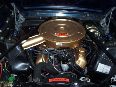1965 Ford Mustang photo