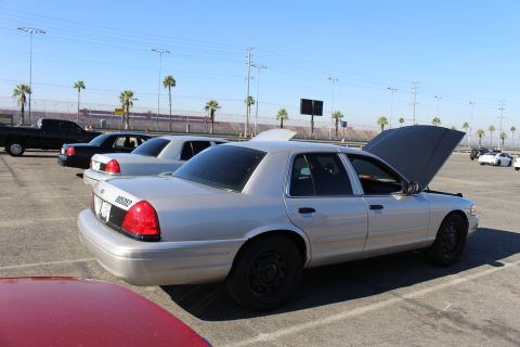 2003 Ford Crown Victoria - silver Ford sedan with its trunk open sits in a paved lot lined with palm trees and other sedans under a clear sky.