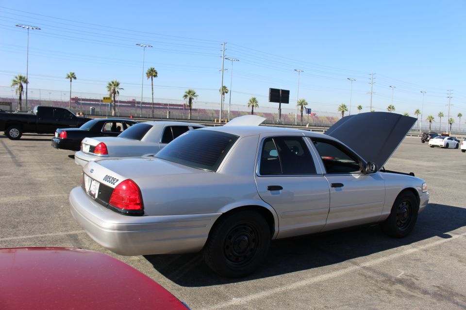 Silver Ford sedan with trunk open parked in a lot lined with palm trees