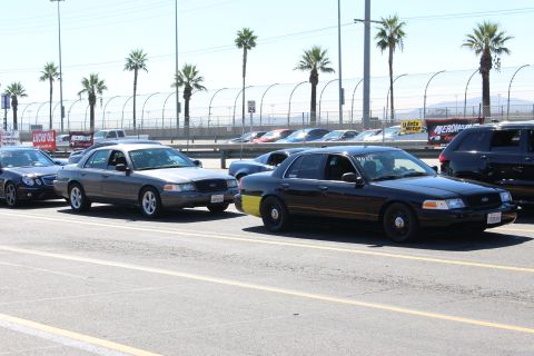 2003 Ford Crown Victoria - Two dark Ford sedans with number decals park nose-to-tail in a lot lined with palm trees and a track grandstand fence.