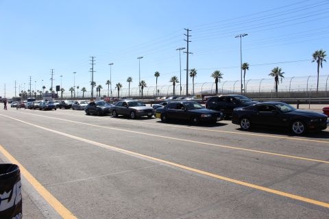 2003 Ford Crown Victoria - line of cars, including a black Mustang at right, stages along a yellow-striped paved lot beneath palm trees and power lines.