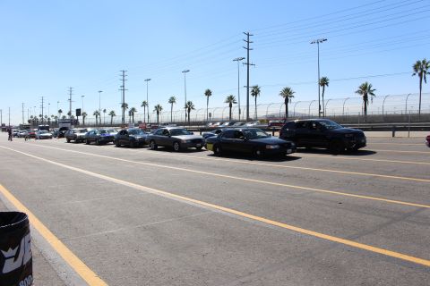 2003 Ford Crown Victoria - Dark sedans and a crossover stage in a line along a yellow-striped paved lot lined with palm trees under a clear sky.