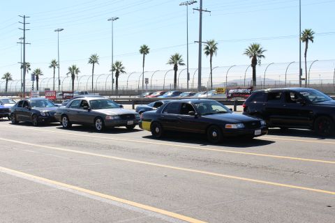 2003 Ford Crown Victoria - row of dark Ford sedans bearing number decals parks along a striped lot with palm trees and a track fence behind.