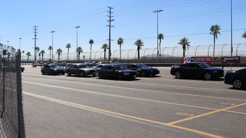 2003 Ford Crown Victoria - row of black cars stages in a wide paved lot lined with palm trees, with Lucas Oil and other sponsor banners behind.