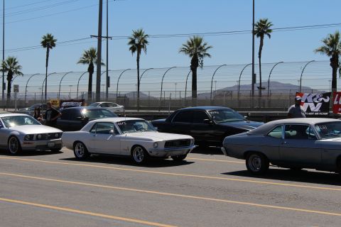 2003 Ford Crown Victoria - white classic Mustang coupe and other cars line up on a sunny race-track pit lane backed by palm trees and a K&N banner.