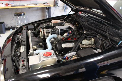 2003 Ford Crown Victoria - open engine bay shows an aftermarket intake, a red-capped reservoir and a blue coolant hose under the raised hood in a shop.