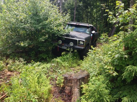 1979 Ford Bronco - This 1979 Ford Bronco navigates a challenging wooded trail, its off-road capabilities.