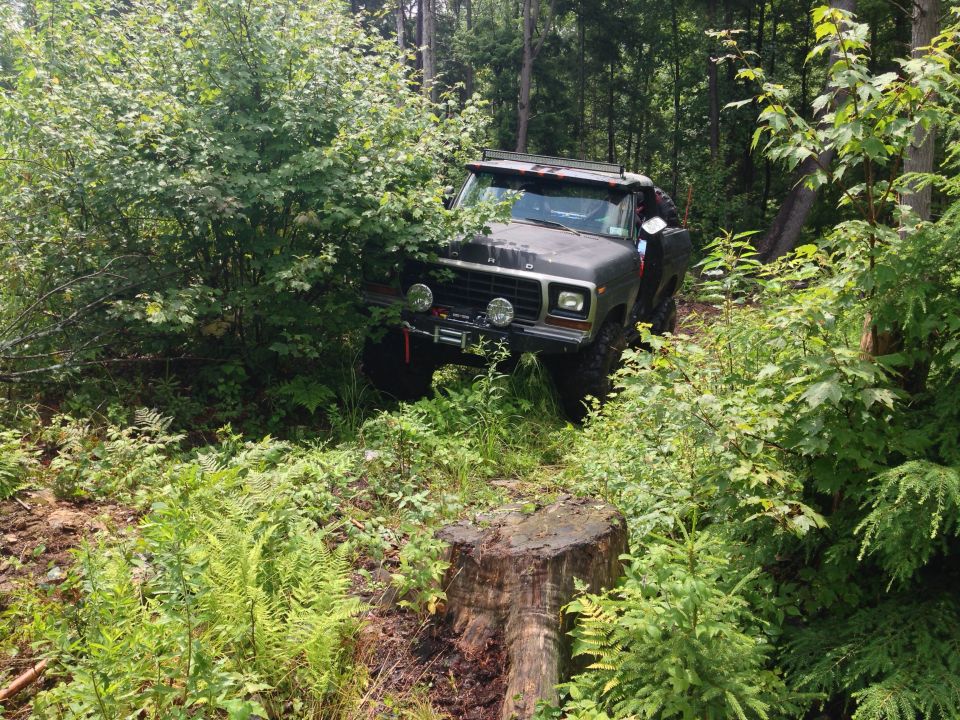 1979 Ford Bronco 3q-front view navigating wooded trail