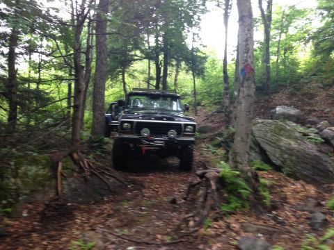 1979 Ford Bronco - Black Ford Bronco navigating a rocky, wooded trail.