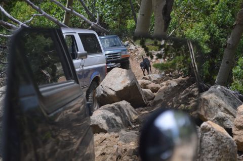 1983 Ford Bronco - Two SUVs tackle a challenging rocky trail, with a dog leading the way.