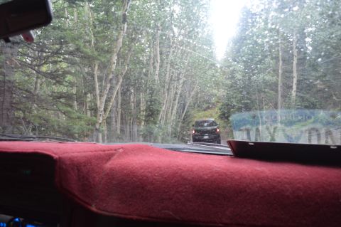 1983 Ford Bronco - Driving down a tree-lined dirt road with another vehicle in front.