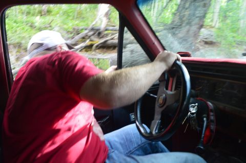 1983 Ford Bronco - Driver navigates a wooded trail, hands on the steering wheel.