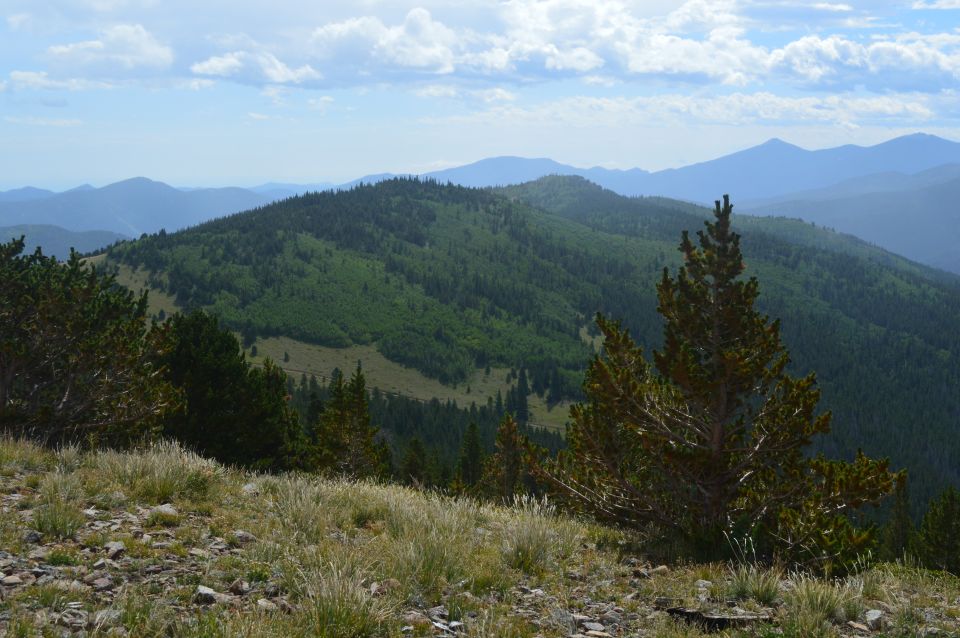 Mountain range with green trees and blue sky with clouds. Foreground has rocks and dry grass