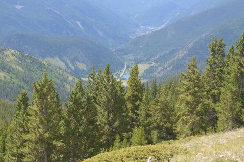 1983 Ford Bronco - View of a mountain valley with trees and a distant lake, captured from a higher elevation.