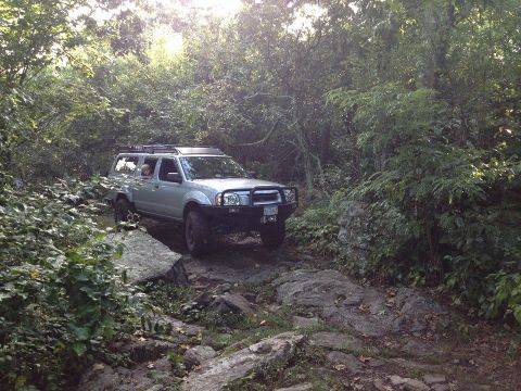 2003 Nissan Frontier - A silver Nissan Frontier navigates a challenging rocky path surrounded by dense foliage.