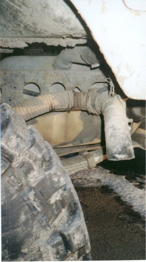 1980 Ford Bronco - Bronco: The same stupid bush nearly ripped off my tailpipe!