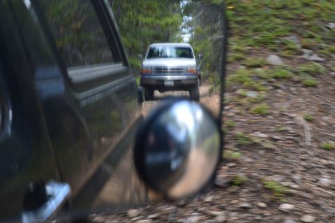 1983 Ford Bronco - Two trucks driving on a dirt road through a wooded area.