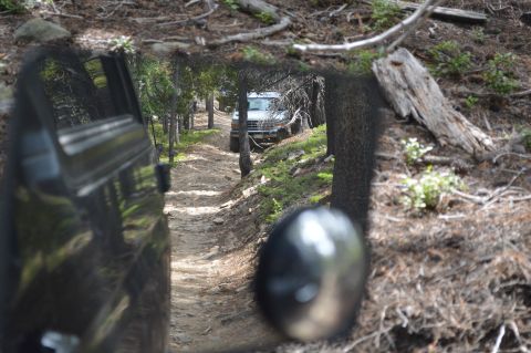 1983 Ford Bronco - Two Broncos navigate a narrow, wooded trail, one following the other.