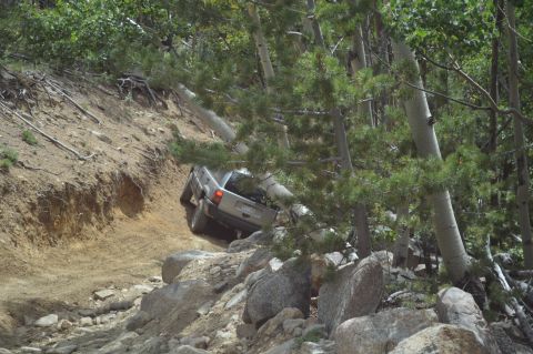 1983 Ford Bronco - Silver SUV is driving on a challenging off-road trail through a forest.