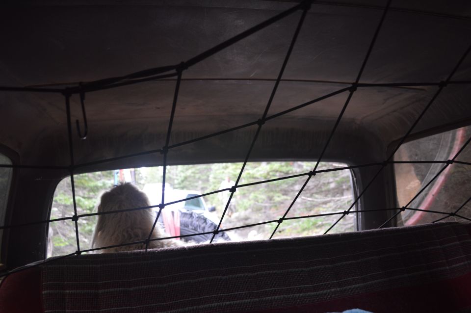 Interior view from a vehicle looking out the rear window at a wooded area and another vehicle