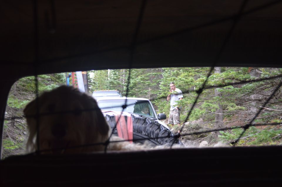 View through a window shows two off-road vehicles in a wooded area with a person standing near one