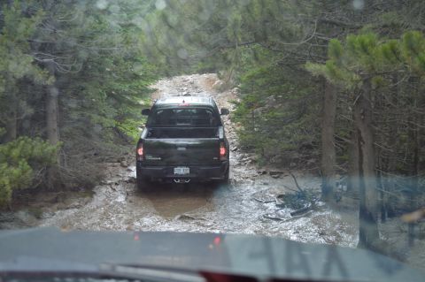 1983 Ford Bronco - A black pickup truck navigates a challenging muddy path surrounded by dense trees.