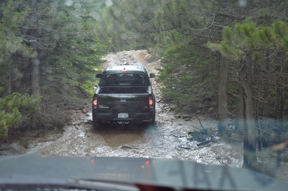 Black pickup truck driving through mud on a forest road. License plate reads D99 307