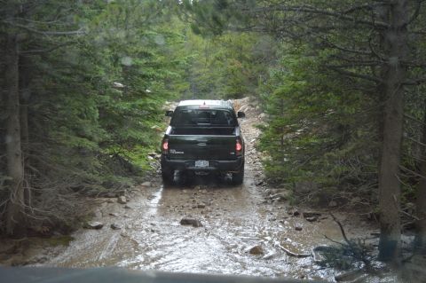 1983 Ford Bronco - A black pickup truck navigates a wet and uneven path through a dense forest.