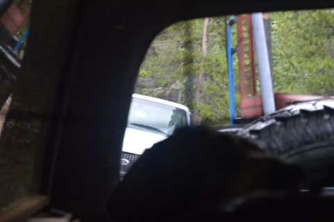 1983 Ford Bronco - A white SUV is visible through a window, with a dark grille and trees in the background.