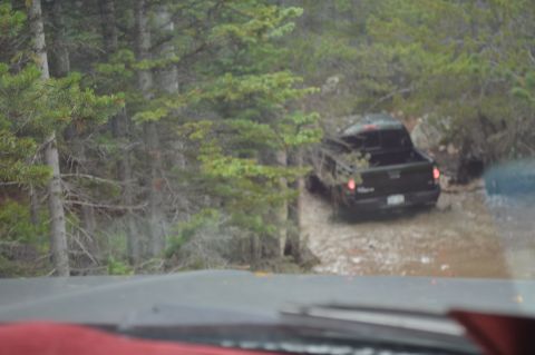 1983 Ford Bronco - A black pickup truck navigates a muddy trail surrounded by dense forest.