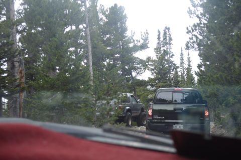 1983 Ford Bronco - Two trucks navigate a wooded dirt road, with a dark green pickup in the foreground and a lifted gray truck behind it.