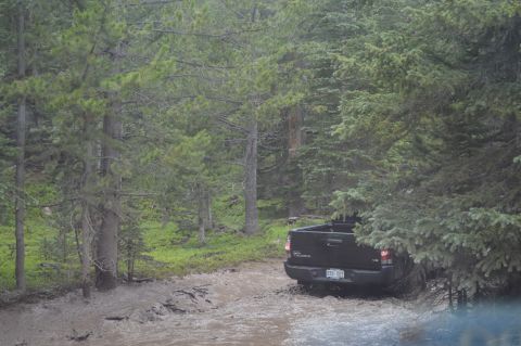 1983 Ford Bronco - A black pickup truck navigates a challenging muddy path surrounded by dense trees.