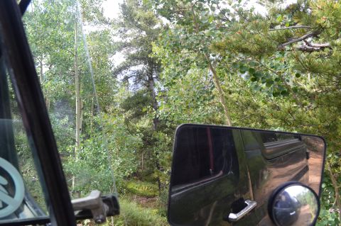 1983 Ford Bronco - Reflection in the side mirror shows a dirt path winding through a wooded area.