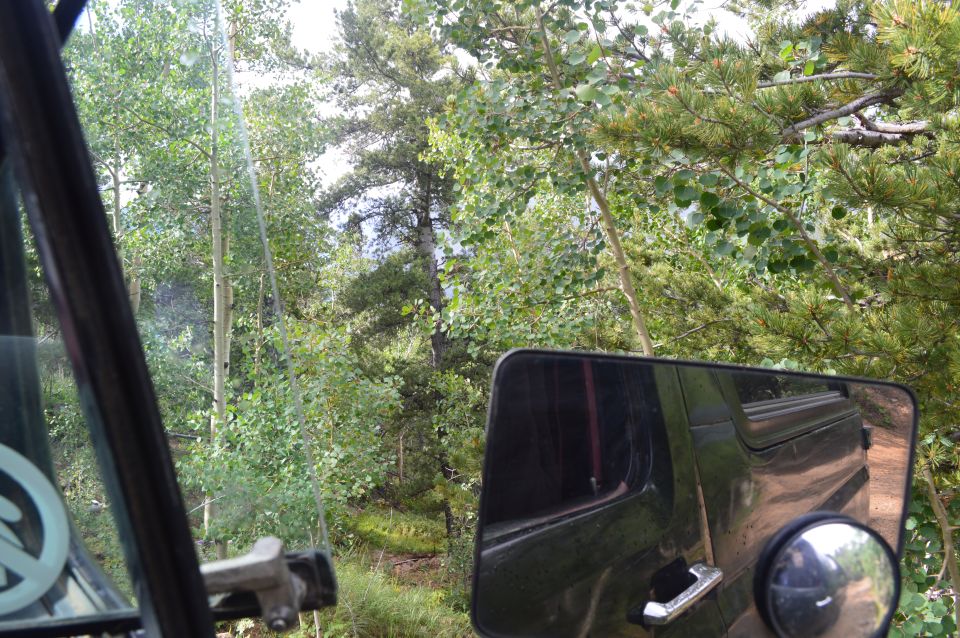 Truck side mirror reflecting a dirt road and trees