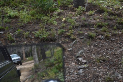 1983 Ford Bronco - A white SUV is seen in the side mirror of another vehicle driving on a dirt path through a forest.