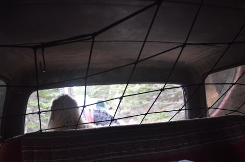 1983 Ford Bronco - Looking through the cargo net and rear window of a vehicle at the surrounding forest and another vehicle.