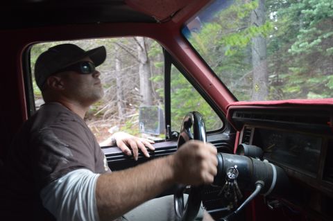 1983 Ford Bronco - Driver looks up and to the side while navigating a forest road in a vintage truck.