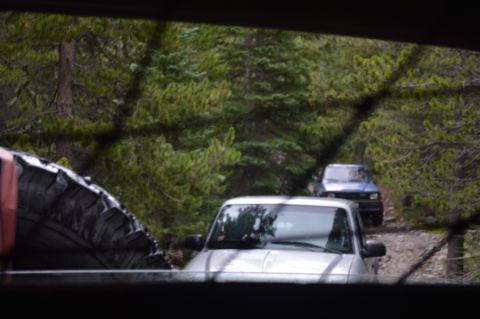 1983 Ford Bronco - Two SUVs navigate a dirt road through a dense forest.