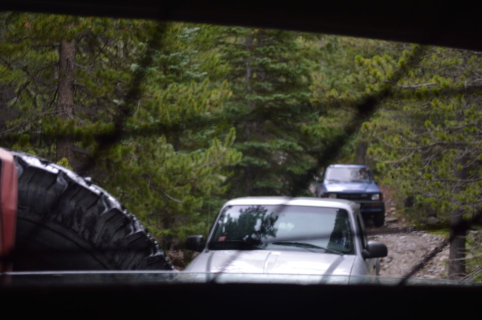 Silver SUV and blue SUV on forest road