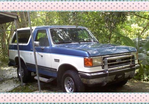 1990 Ford Bronco photo