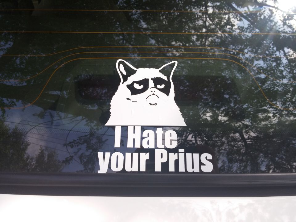 Grumpy cat sticker saying "I Hate your Prius" on a car's rear window