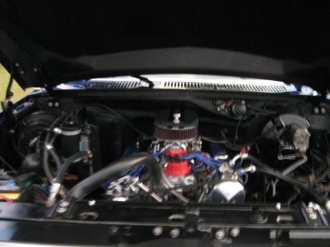 1982 Ford Bronco - The engine bay of a 1982 Ford Bronco shows a prominent red air filter and blue spark plug wires.
