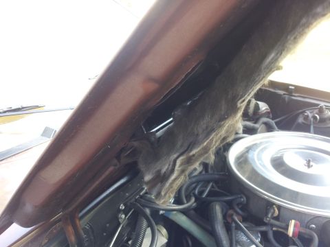 1980 Ford Mustang - View of a car's engine bay, including hood insulation and air cleaner assembly.
