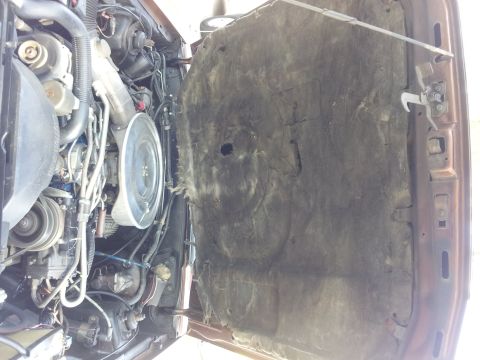 1980 Ford Mustang - View of the engine bay and hood insulation of a 1980 Ford Mustang.