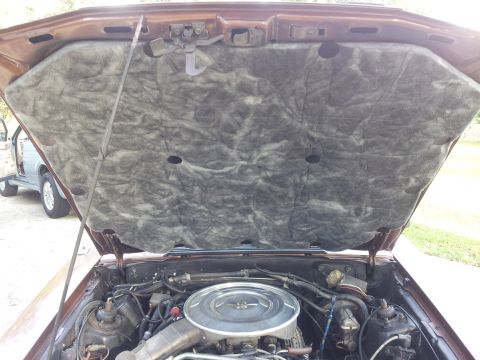1980 Ford Mustang - Under the hood of a 1980 Ford Mustang, showing insulation and engine components.