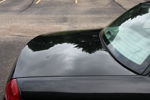 2009 Ford Crown Victoria - A black car's rear section is shown, reflecting the sky and trees.