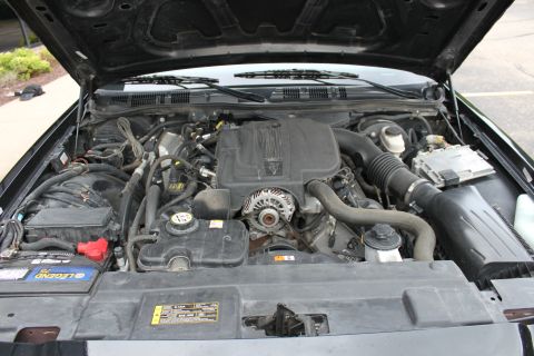 2009 Ford Crown Victoria photo