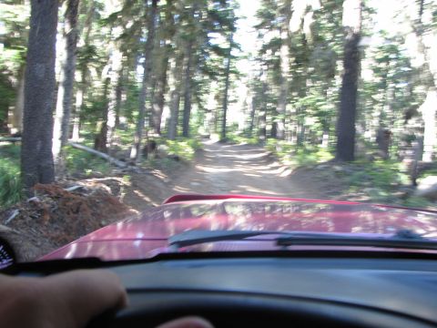 1992 Ford F-150 - Driving a red truck on a dirt road through a forest.