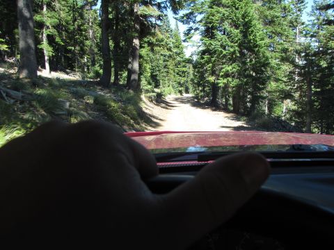 1992 Ford F-150 - Driving on a dirt road through a dense forest, with a hand on the steering wheel and "SUPERMOTORS" visible on the dashboard.