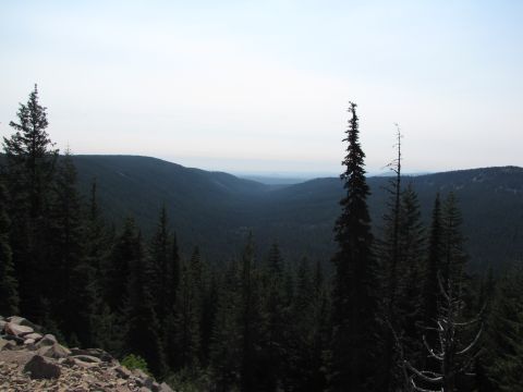 1992 Ford F-150 - A vast mountain valley is viewed from a rocky overlook surrounded by tall evergreen trees.